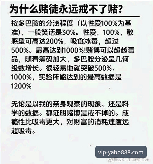 yabo888怎么样 资深用户周敏分享:从帕尼切利重伤看顶级体育平台的即时性与深度解析价值