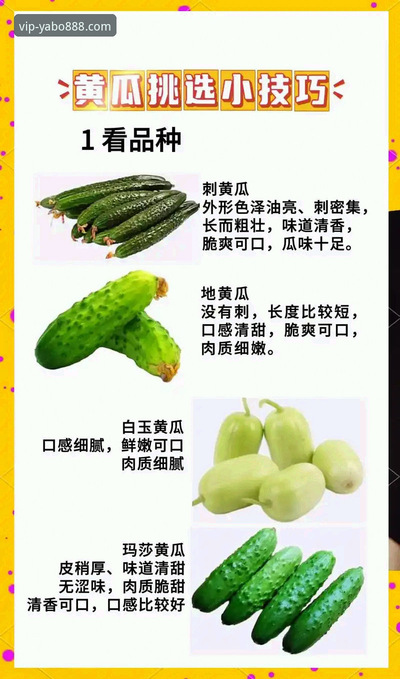 yabo888官网使用技巧 yabo888vip体育平台实用技巧:从下载到安全使用的完整指南